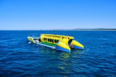 WEB Development  & Seo For yellow Submarine Cayman